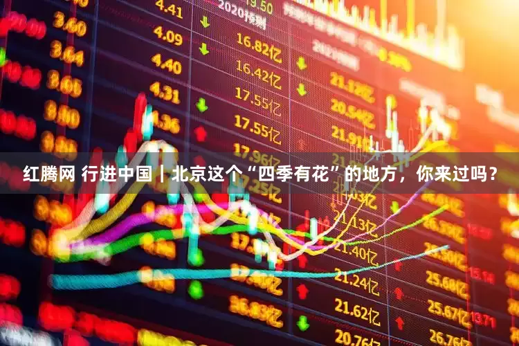 红腾网 行进中国｜北京这个“四季有花”的地方，你来过吗？