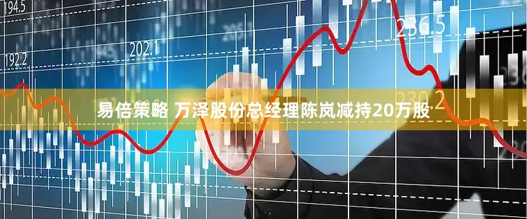 易倍策略 万泽股份总经理陈岚减持20万股